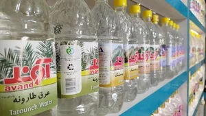 گیاهان دارویی بلوط(نوشاد)