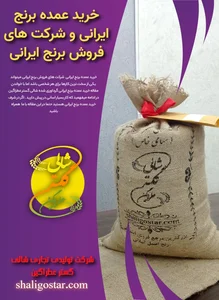 بازرگانی لیان