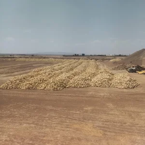 آجر فشاری 3