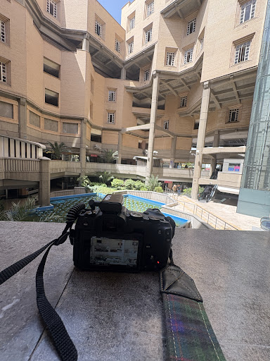 بیزینس کوچینگ شانا