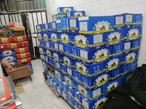 پخش خرمای بم 4