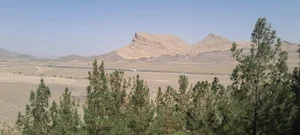 حسینیه محبان الرضا ( گل گنبدی های مقیم تهران )
