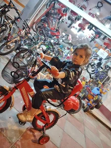 فروشگاه مجتبی