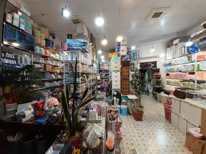 فروشگاه خانه لوکس پاسارگاد