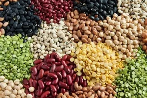 خرید و فروش محصولات کشاورزی حاتمیان