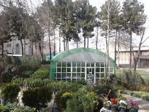 گلخانه جهاد دانشگاهی فروش گل ونهال