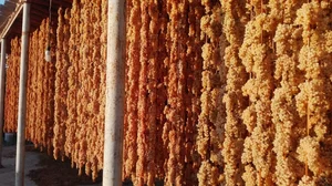 عطاری تبریز