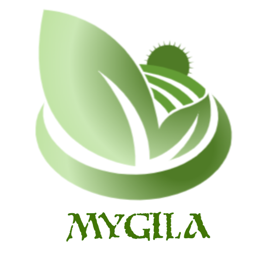 فروشگاه اینترنتی مای گیلا