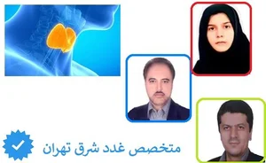 مطب دکتر سید محمود سجادی جزی