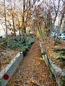مادی نیاصرم