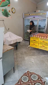 بيمه ايران نمايندگي كامراني