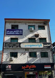 دیجی چین