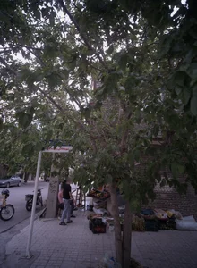 میوه فروشی 2