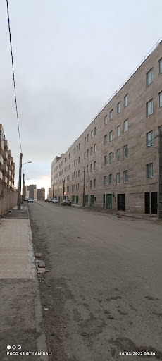 آژانس زیتون
