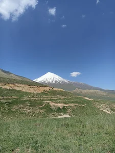 دشت گل زرد