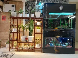 هتل مختار 3