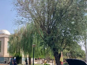 بوستان مسافر 3