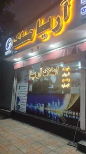 آریا ملک