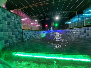 دشت کوه