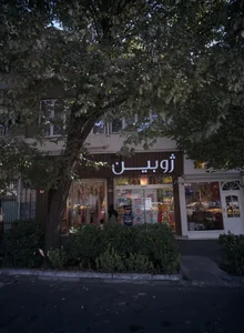 فروشگاه اسباب بازی ژوبین 2