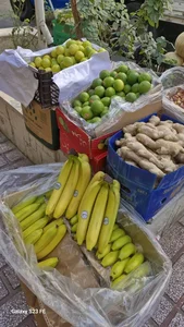سوپر میوه مرتضی 5