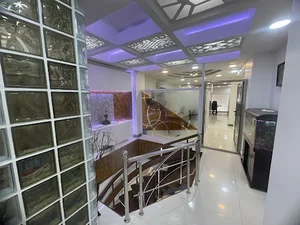 تک وین پنجره هرمزگان
