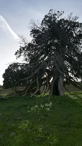 بوستان کارمند