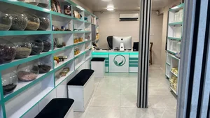 حکیمان سبز