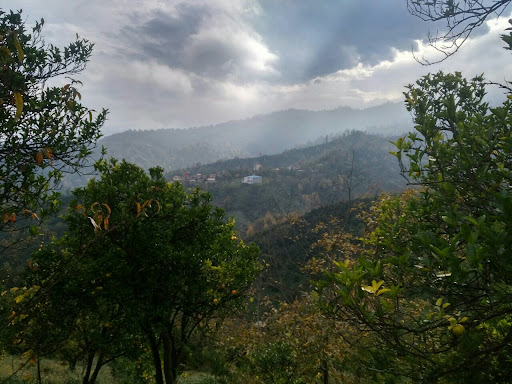سیامک خرسندی کوجل