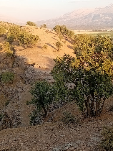 روستای علی آباد