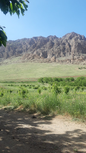 باغ میثم خوشابی