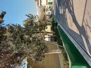 آموزش زبان فرانسه