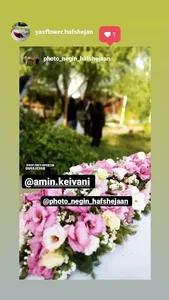 باغچه نگین