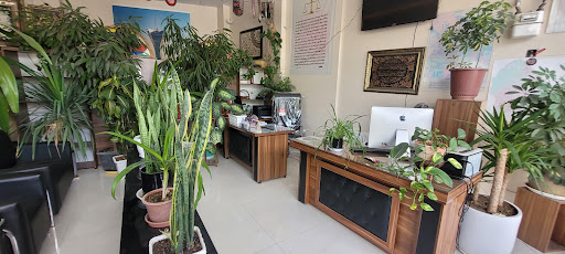 دپارتمان و املاک مشاهیر