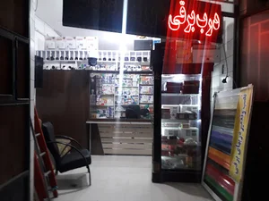 آرامش الکترونیک (دوربین دزدگیر)