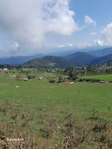 مشاور املاک جوکندان بزرگ