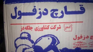 مرکز قارچ دزفول