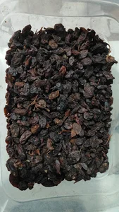 کشمش تاکستان