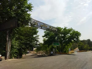 آفالینا 5