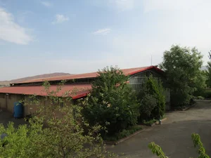 kaveh industrial group