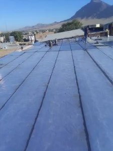 سعید چگینی علی ابادی