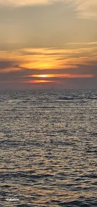 کمپینگ بوشهر