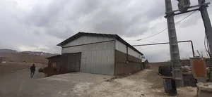 مزرعه پرورش مرغ خدابخشی