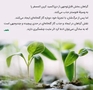 اثر گلخانه ای | گرمایش زمین چیست و چرا باید به آن توجه کنیم؟ - متمم