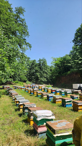 عسل سرای عمو سلیمان
