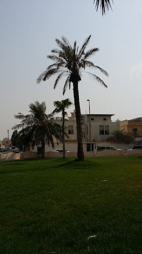 Al Shifa