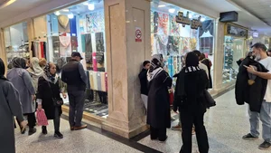 بانوی شیک 3