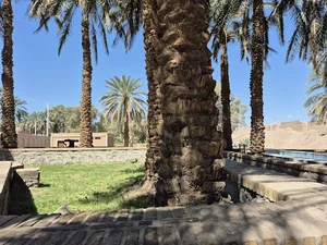 بوستان ارگ