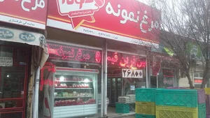 مرغ نمونه