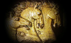 تولیدی شریفی